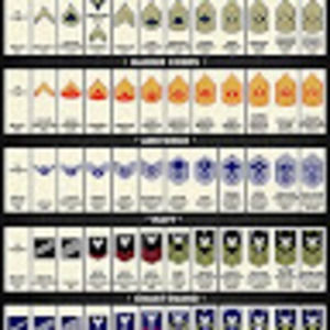 Meet your Posher, Nikolas